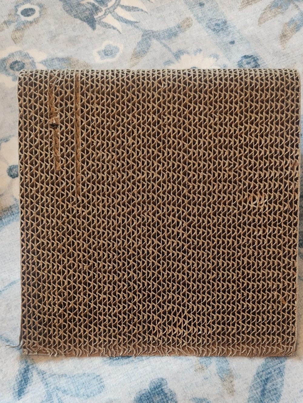 PETS: CAT SCRATCHER SET - Picture 4 of 13